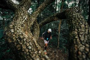 BIB: 
                            <button type="button" onclick="openModal(25393231)" class="btn btn-primary btn-sm float-right btn-popup" data-toggle="modal" data-target=".modal-high-quality">
                        <i class="fas fa-shopping-cart"></i> Add to Cart
                    </button>
                                            <button type="button" onclick="isThisMe(25393231, true)" class="btn btn-success btn-sm float-right btn-popup btn-isme hidden" data-toggle="tooltip" data-placement="bottom" title="นี่คือรูปของคุณใช่ไหม คลิกที่นี่เพื่อเอาเข้าอัลบั้ม">
                        <i class="fas fa-plus"></i> Add to album
                    </button>
                    <button type="button" onclick="isThisMe(25393231, false)" class="btn btn-warning btn-sm float-right btn-popup btn-isnotme hidden">
                        <i class="fas fa-ban"></i> Remove from album
                    </button>